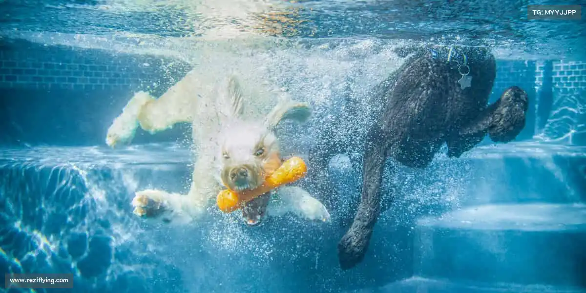 <strong>星空官网</strong>哑铃起落，肌肉舒展，雕刻身材的同时，重塑强大内心💪